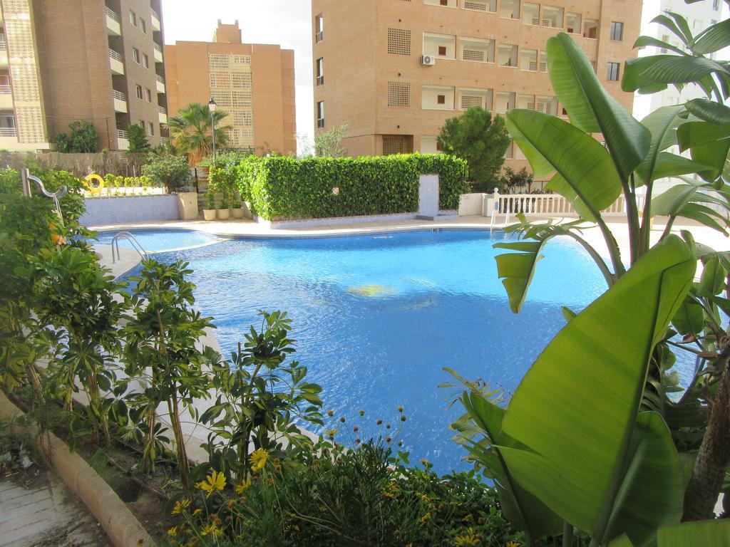 Apartment Diamond Benidorm Quarto foto